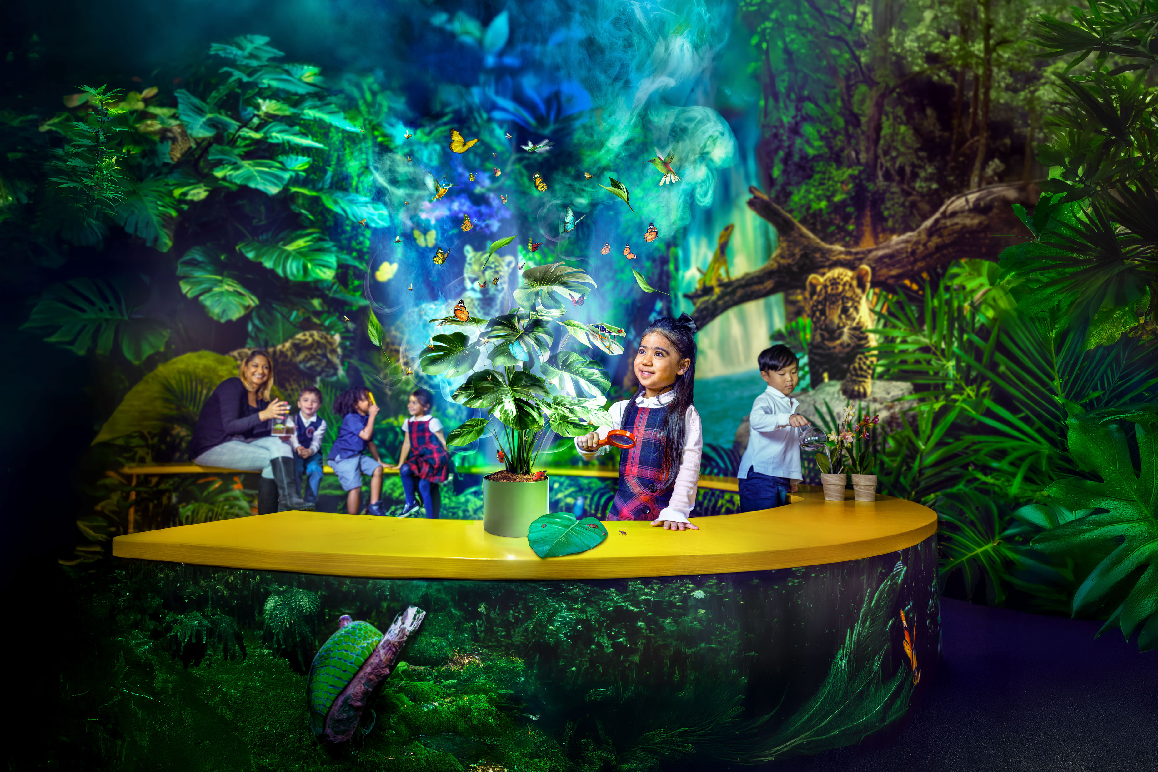 Imagination - Kindergarten